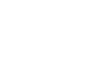 Insightful Solutions